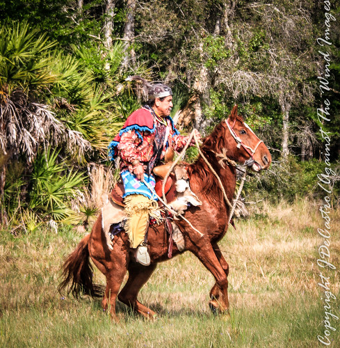 Seminole Chief-6458 by Against The Wind Images