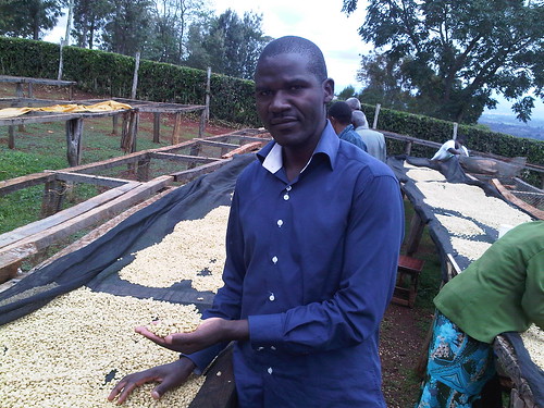 worker on the Kagumo-ini farm