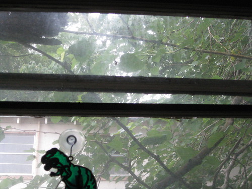 Kitchen window with dino from Strawberry festival thanks to Jessie H. !