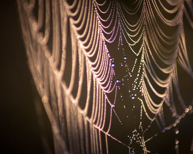 Spider web pearls