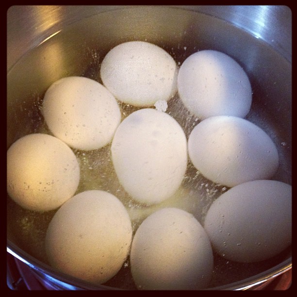 Trying the magic baking soda trick for hard boiled eggs. I'm going myth busters up in here...