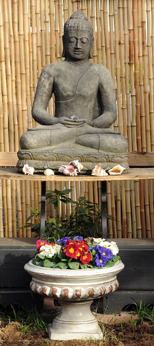 Meditation posture Buddha statue, garden shrine, spring flowers in container, bamboo fence, Seattle, Washington, USA by Wonderlane