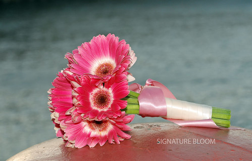 Wedding Florist Cupertino Pink Gerbera Daisy Bouquet