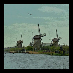 -005- Kinderdijk 2012