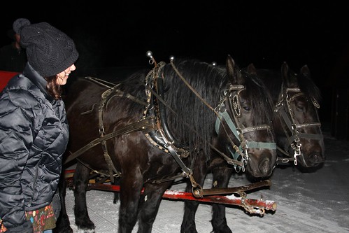 Horsed pulling sleigh