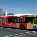 Brisbane Transport 648