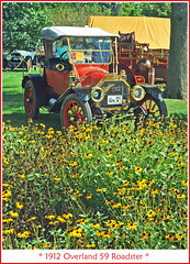 Cars and Flowers