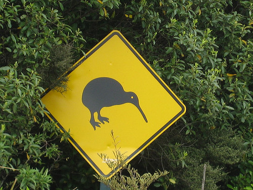 纽西兰可爱动物交通告示牌