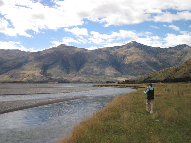 fly fishing the makarora valley