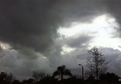 Stormy Day 3-17-2012