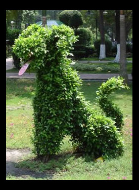 dog-topiary