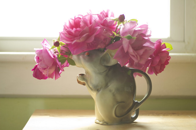 roses in a mouse pitcher