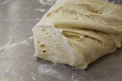 Perfect white pizza dough