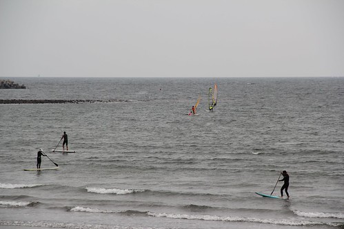 Paddlesurfers & windsurfers パドルサーファーとウィンドサーファー