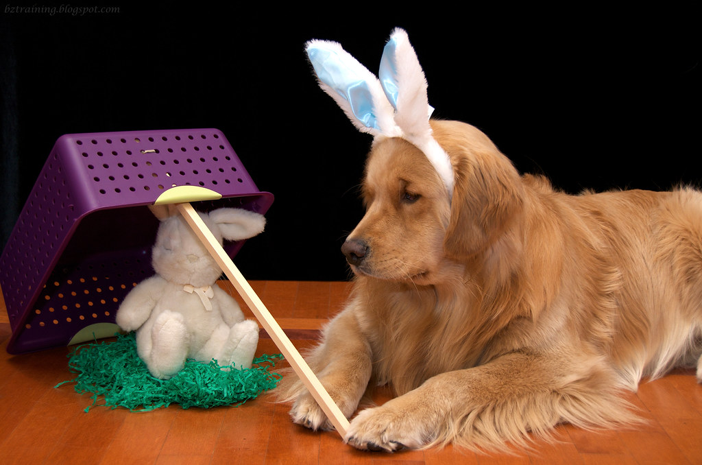 Easter Bunny Trap
