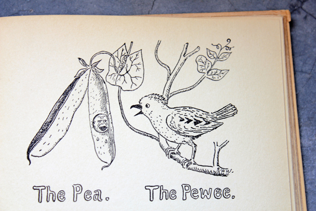The Pea and the Pewee