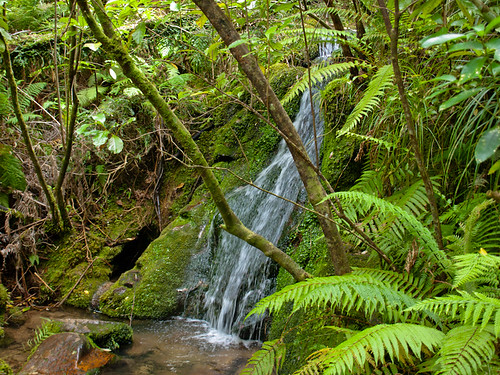 Parque Nacional de Abel Tasman 34