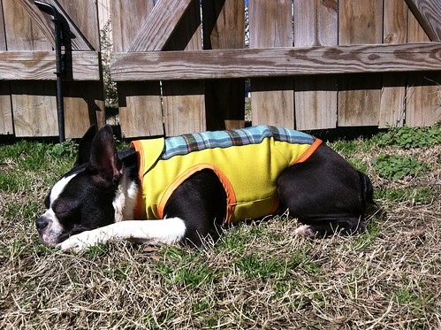 Naptime in his new jacket