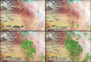 NASA Sees Fields of Green Spring up in Saudi Arabia.  Credit: NASA/GSFC/Landsat