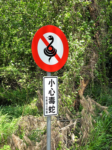 Beware of the Snake