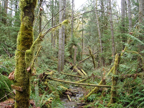 roger creek trail