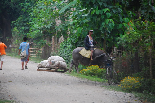 Bushman In The Philippines: Santo Nino, Part 3