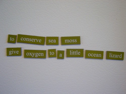 fridge poetry
