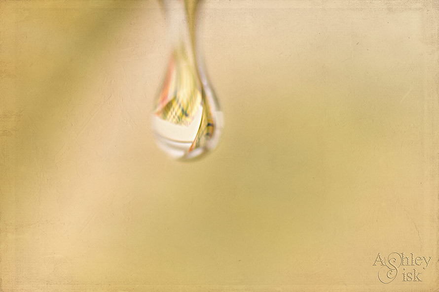 Water Droplet 1 RS