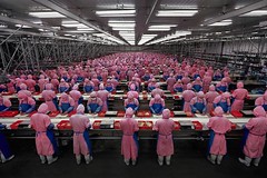 factory line worker