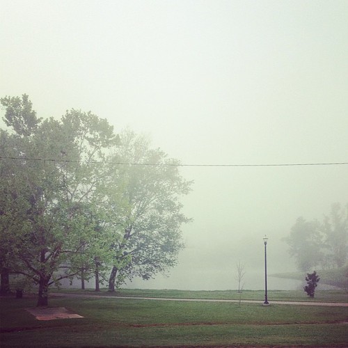 Day 88: Foggy headed