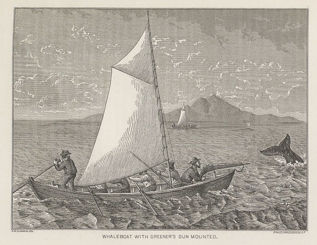 Whaleboat with Greener's gun mounted