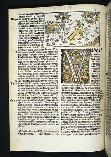 Woodcut illustration in Biblia latina
