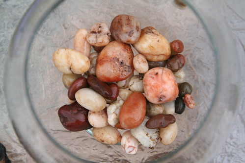 Garden Stones in the Bowl