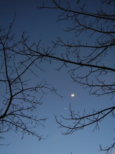 Moon, Venus & Jupiter, 25 February 2012 _ 0307 - 500