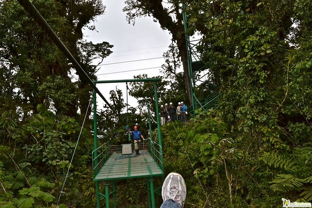 The Top 8 Things to do in Monteverde, Costa Rica- Canopy tour