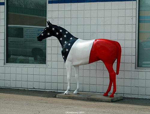 Painted horse, Louisville