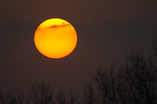 Giant Sunset_9587.jpg