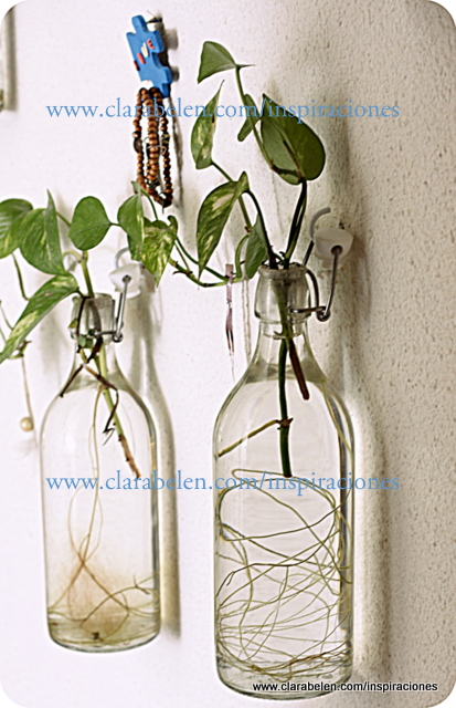 Manualidades e ideas para decoración: plantas en botellas de soda para la pared