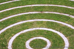 Garden circles