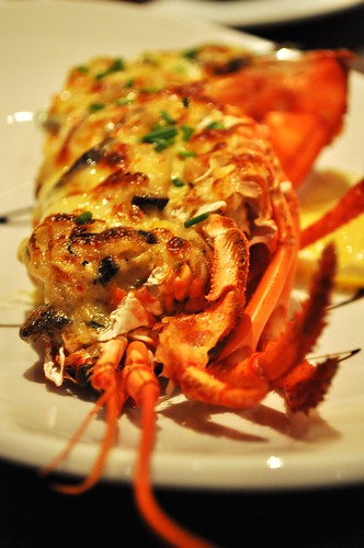 cheese lobster