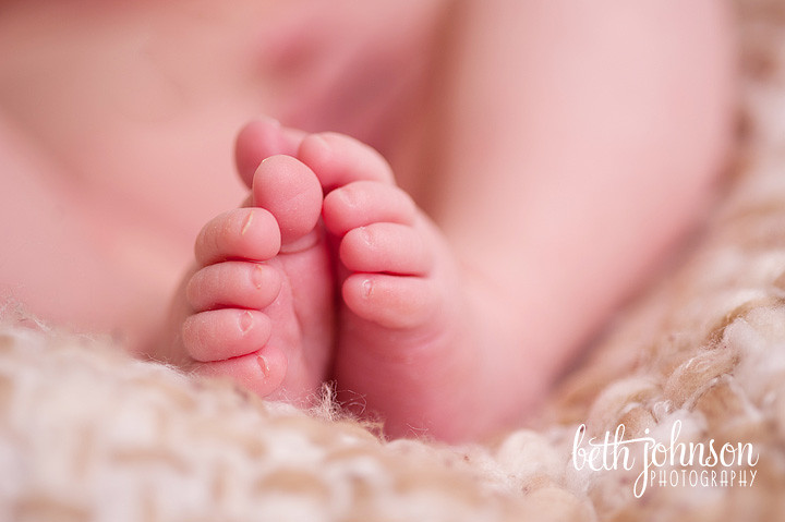 tallahassee newborn photographer studio photography baby toes