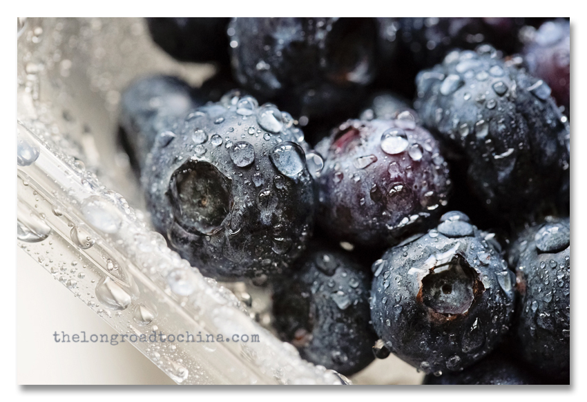 Blueberries MACRO Water Drops BLOG