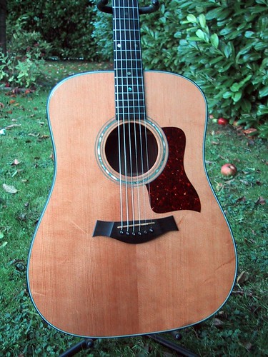 Taylor 710 Guitar