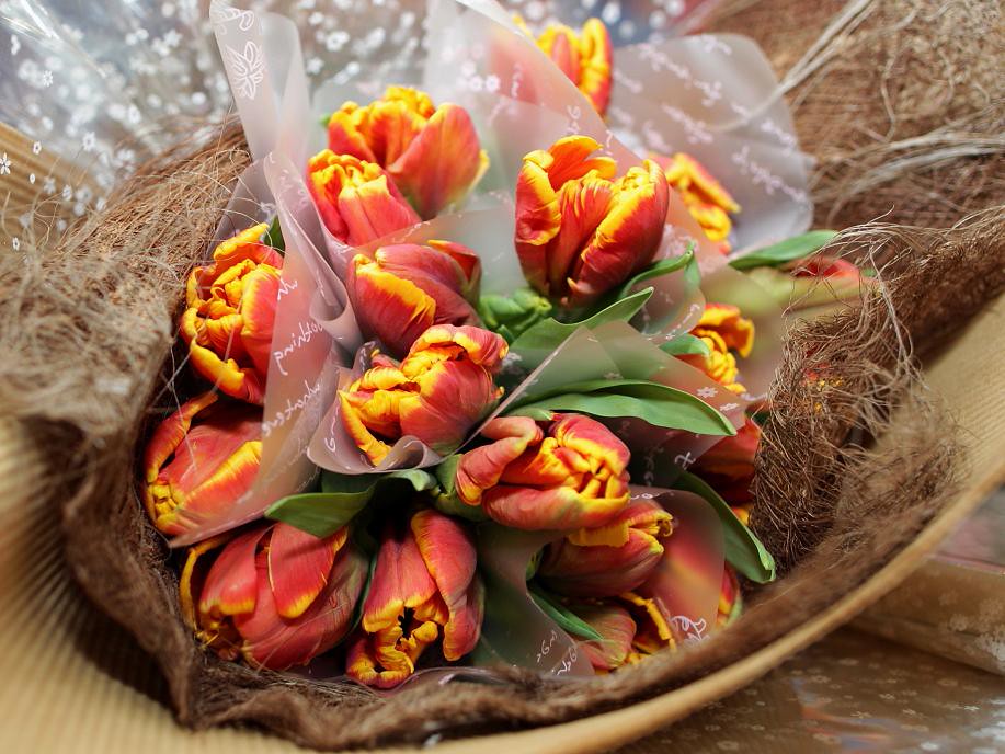 Tulips 2011_058 (2).JPG