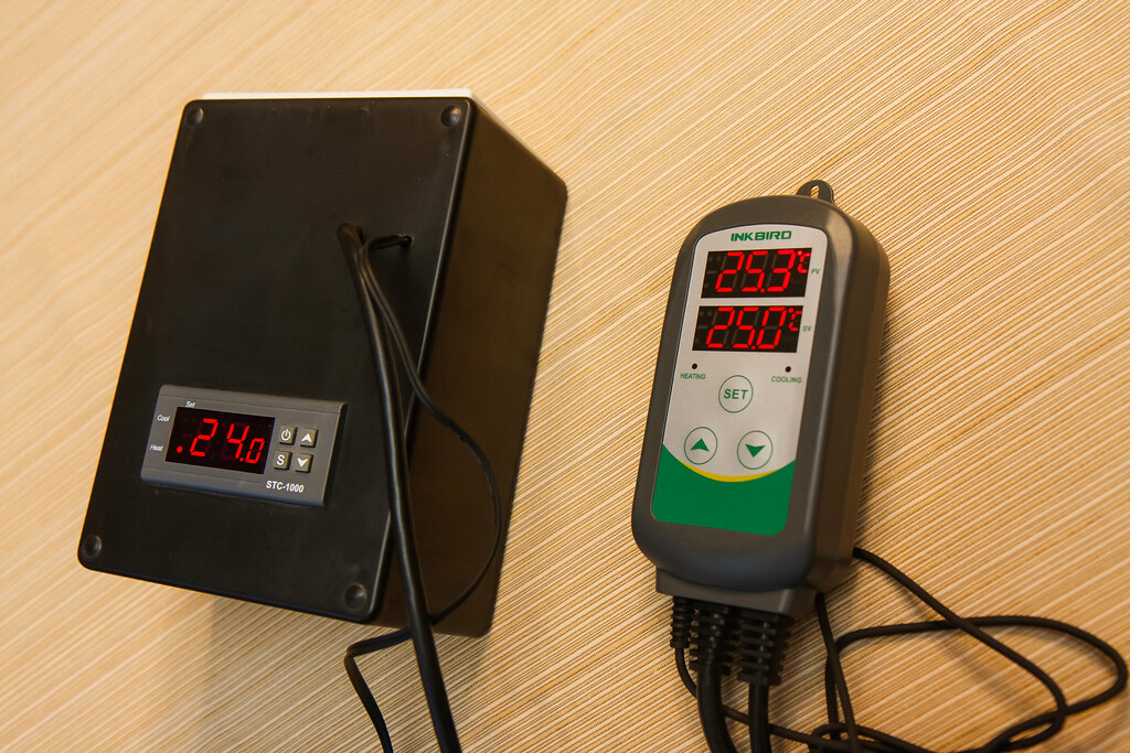 Inkbird ITC-308 Temperature Controller Review - Must-Have Device for  Hombrewers