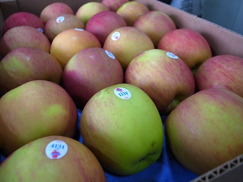 美國富士蘋果 80顆裝箱 4131 約19公斤