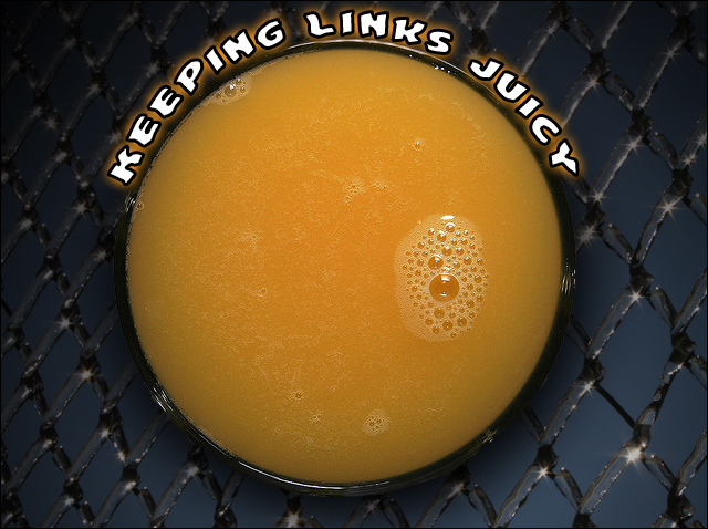 Keep SEO Link Juice