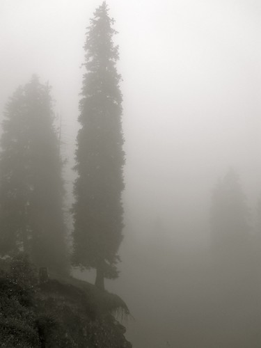 Through the mountain mist