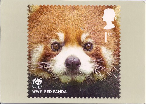 PHQ WWF Red Panda