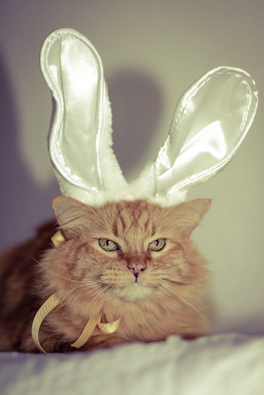 Puddy says Happy Easter